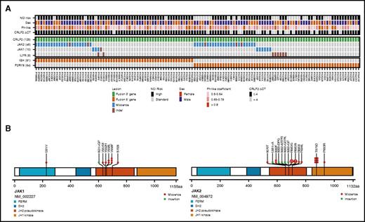 Figure 2. Genetic alterations in patients with Ph-like ALL with CRLF2 rearrangement. (A) Genomic landscape of CRLF2 rearrrangements. (B) Protein plot of sequence mutations in JAK1 and JAK2.