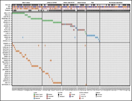Figure 3. Genetic alterations in patients with Ph-like disease without CRLF2 rearrangement.