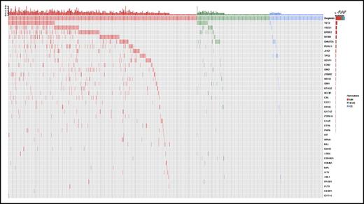 Figure 1. Patterns of the mutations identified in the cohort of 683 patients with unexplained cytopenia. Distribution of somatic lesions in the analyzed genes according to the final diagnosis resulting from standard workup. Red color indicates a diagnosis of myeloid neoplasm; green indicates a diagnosis of ICUS, and blue indicates a diagnosis of other cytopenia. Each column represents an individual patient sample. MN, myeloid neoplasm; OC, other cytopenia.