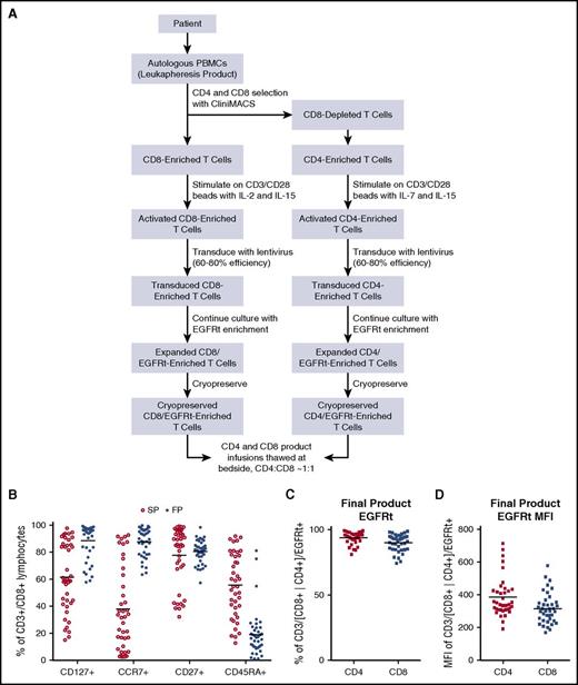 Figure 1. Product manufacturing and product phenotype. (A) Manufacturing schema of PLAT-02–formulated CD19 CAR products. (B) Flow cytometric phenotype of input apheresis T cells and final products (FPs). (C) Frequency of transgene-expressing T cells in formulated CD4 and CD8 products based on EGFRt flow cytometric enumeration. (D) EGFRt transgene expression levels of formulated products based on mean fluorescence intensity (MFI). PBMC, peripheral blood mononuclear cell; SP, starting products.