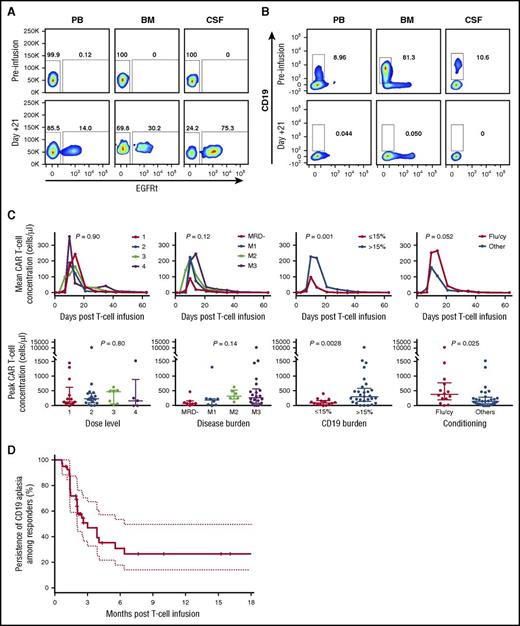 Figure 2. Magnitude and duration of functional CD19 CAR engraftment. (A) Representative engraftment and detection of CD19 CAR+/EGFRt+ T cells in peripheral blood (PB), bone marrow (BM), and cerebrospinal fluid (CSF) 21 days after infusion. (B) Representative functional activity of CD19 CAR product as measured by clearance of B cells (leukemic and normal) in PB, BM, and CSF. (C) Magnitude and duration of CAR engraftment by flow cytometric quantitation of EGFRt+CD3+ T cells. (D) Durability of functional CD19 CAR engraftment in treated patients based on BCA. Flu/cy, fludarabine and cyclophosphamide.