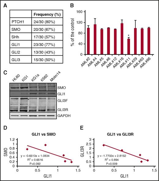 Figure 1. Hh signaling pathway is active in AML. (A) Expression of the Hh pathway components PTCH1, SMO, GLI1, GLI2, and GLI3 was measured by real-time Q-PCR in a panel of 30 clinical specimens from patients with AML. (B) Primary AML blasts were treated with 100 nM of the SMO antagonist PF-04449913 for 48 hours, and proliferation was measured by using XTT (Roche) assay. Results were shown as a percentage of the respective control of each sample. *P < .05 compared with control. (C) Basal SMO, GLI1, and GLI3 protein levels were measured by western blotting. Protein lysates were separated by sodium dodecyl sulfate-polyacrylamide gel electrophoresis and immunoblotted with GLI3 antibody. GLI3F represents the unprocessed full length GLI3, and GLI3R represents the processed repressor form of GLI3. Glyceraldehyde-3-phosphate dehydrogenase was used as a loading control. (D) Correlation between GLI1 and SMO protein levels in myeloid leukemia cell lines. Protein levels were analyzed by densitometry. The x-axis represents Gli1, and the y-axis represents SMO. (E) Correlation between GLI1 and GLI3R protein levels in myeloid leukemia cell lines. Protein levels were analyzed by densitometry. The x-axis represents GLI1, and the y-axis represents GLI3R.