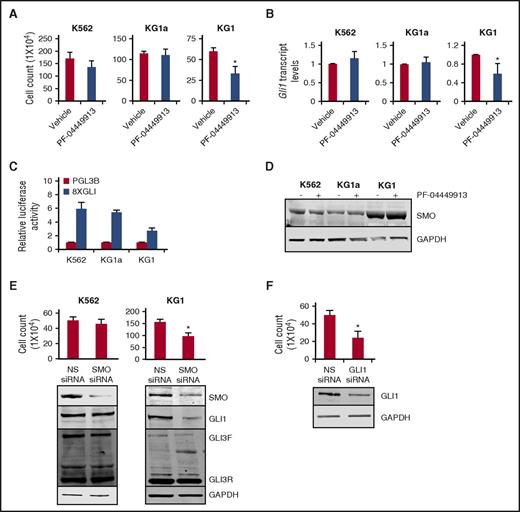 Figure 2. Response to SMO antagonist PF-04449913 varies among AML cell lines. (A) AML cell lines were treated with 100 nM of PF-04449913 for 48 hours. Cell viability was tested by trypan blue exclusion assay. *P < .05 vs vehicle-treated cells. Treatment with PF-04449913 decreased cell viability in KG1 cells with no change in K562 and KG1a cells. (B) GLI1 transcript levels, which are an indicator of Hh pathway activity, were measured by Q-PCR. GLI1 transcript levels were reduced in KG1 cells only with PF-04449913 treatment. (C) AML cell lines (KG1, KG1a, and K562) were transiently transfected with a GLI-responsive luciferase reporter or pGL3-basic, a plasmid lacking GLI binding site, as a negative control. Relative luciferase levels were measured at 48 hours posttransfection. (D) SMO protein levels were measured in cell lines treated with PF-04449913. (E) K562 and KG1 cells were transiently transfected with SMO siRNA, respectively. Non-specific scrambled siRNA (NS siRNA) was used as control. Cell viability was tested by trypan blue exclusion assay. Transfection efficiency of SMO siRNA transfection efficiency was measured by western blotting for SMO protein levels. GLI1 and GLI3 protein levels were also measured by western blotting. (F) K562 cells were transiently transfected with GLI1 siRNA. NS scrambled siRNA was used as control. Cell viability was tested by trypan blue exclusion assay. *P < .05 vs NS siRNA control. Transfection efficiency of GLI1 siRNA was measured by western blotting using GLI1 antibody. Glyceraldehyde-3-phosphate dehydrogenase was used as a loading control in panels D-F.