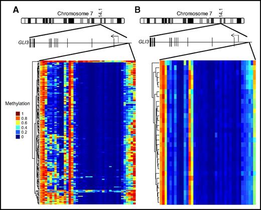 Figure 5. GLI3 is hypermethylated in AML. Schematic representation of the GLI3 gene (15 exons; not drawn to scale) on chromosome 7. (A) GLI3 promoter methylation data from the TCGA AML cohort. (B) GLI3 promoter methylation data from a cohort of normal bone marrow stem and progenitor cells.