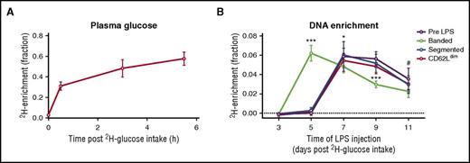 Figure 2. Label kinetics in plasma and in DNA of neutrophil subsets. Healthy volunteers were labeled with 6,62H2-glucose over the course of 6 hours. (A) During this period, the availability of label was monitored by measuring the fraction of 6,6-2H2-glucose in the total blood glucose pool in blood samples obtained by skin pricks. (B) DNA 2H enrichment of the different inflammatory neutrophil subsets 3 hours after LPS injection or total neutrophils isolated 5 minutes pre-LPS injection at 3 to 11 days after 6,6-2H2-glucose. Results suggest that banded neutrophils are less mature than the 2 other subsets. (A) Fraction enrichment was corrected for availability of label for each individual. Symbols indicate mean ± standard deviation, with (A) n = 20 and (B) n = 4 volunteers at each time point, with a total of 20 volunteers. *P < .05 for banded compared with segmented neutrophils, #P < .05 for banded neutrophils compared with neutrophils isolated before LPS injection, and ***P < .001 for banded neutrophils compared with all 3 other subsets as determined by a repeated-measures 2-way analysis of variance with Tukey’s correction for multiplicity.