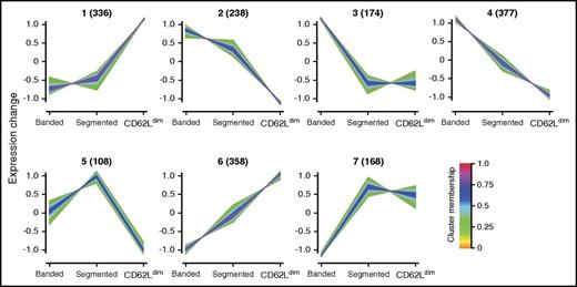 Figure 4. Clustering of protein expression profiles. Clustering analysis divides normalized protein expression patterns into 7 distinct clusters. Three clusters have high expression in 1 subset compared with the others (clusters 1, 3, and 5 for CD62Ldim, banded, and segmented neutrophils, respectively), 2 clusters have decreased expression in 1 subset (clusters 2 and 7 for CD62Ldim and banded neutrophils, respectively), and 2 clusters have gradually increasing (cluster 6) or decreasing (cluster 4) protein expression levels from banded to segmented and CD62Ldim. Each line represents the expression pattern of 1 protein. Line colors indicate the cluster membership value (ie, the higher the membership value, the more similar to the cluster average). A minimum cluster membership value of 0.33 was used for further analysis. Numbers between brackets indicate the number of proteins in each cluster with cluster membership values above 0.33.