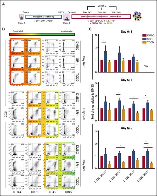 Figure 1. Small-molecule antagonism of AHR enhances early hematoendothelial development from hESCs. (A) Schema of hESC differentiation into early hematoendothelial cells as spin EBs. hESCs are made into spin EBs at day 0 and conditioned into mesoderm lineages for 6 days using defined cytokines (stage 1). At day 6, spin EBs are transferred into hematoendothelial culture media (stage 2) to promote endothelial and hematopoietic cell differentiation. For these studies, cells are treated with either 1 μM SR-1, 10 nM TCDD, or DMSO vehicle control beginning at day 6+0 with media exchanges and/or harvesting performed at day 6+3, day 6+6, and day 6+9. (B) Representative flow cytometry plots of 1 hESC differentiation. Both adherent and nonadherent cell fractions are harvested at day 6+3, day 6+6, and day 6+9 and assessed for endothelial cell (CD34+CD31+, CD34+CD144+) and hematopoietic progenitor cell (CD34+CD43+, CD34+CD45+) phenotype. (C) Fold change of the total percentage of each hematoendothelial phenotype for SR-1– and TCDD-treated hESCs normalized to matched DMSO-treated controls; n = 4-6, error bars represent standard error of the mean (SEM). *P < .05 as compared with DMSO-treated controls by the Student t test. N/A, not applicable due to absence appreciable of CD34+CD45+ populations at day 6+3 time point; TPO, thrombopoietin.