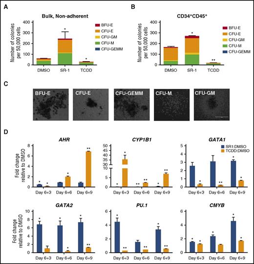 Figure 2. SR-1–treated hESCs demonstrate increased multilineage hematopoietic development. (A) Bulk, nonadherent hematopoietic progenitor cells and (B) sorted CD34+CD45+ cells derived from hESCs differentiated in the presence of SR-1, TCDD, or DMSO controls were harvested at day 6+5 and seeded at 50 000 cells per dish in a standard methylcellulose CFU assay. Colonies were counted for each treatment group following 2 weeks of culture and scored for the following morphological subsets: burst-forming unit-erythroid (BFU-E); CFU-E; CFU–granulocyte, macrophage (CFU-GM); CFU–granulocyte, erythroid, macrophage, megakaryocyte (CFU-GEMM); CFU-M; n = 3, error bars represent SEM of the total number of colonies per 50 000 cells seeded. *P < .05, **P < .01 as assessed with 1-way analysis of variance (ANOVA) + Tukey-Kramer multiple comparisons post hoc test. (C) Representative BFU-E, CFU-E, CFU-GEMM, CFU-M, and CFU-GM as scored in panels A and B are shown. Scale bar, 100 μm. (D) Nonadherent hematopoietic progenitor cells derived from hESCs differentiated in the presence of SR-1, TCDD, or DMSO controls were harvested at day 6+3, day 6+6, and day 6+9 time points and probed for gene expression by qRT-PCR. For each gene, cycle threshold (Ct) values were normalized to GAPDH at each time point and data are presented as relative fold change to DMSO-treated controls; n = 3, error bars represent SEM; *P < .05, **P < .01 using the Student t test.