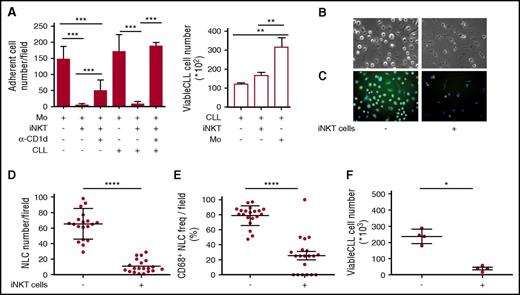 Figure 5. iNKT cells control CLL survival by restraining proleukemia functions of NLCs. (A) iNKT cells impair NLC generation in vitro. Shown is the number of adherent NLCs differentiated from CD14+ monocytes of healthy donors upon culturing in vitro for 7 days with or without purified CD1dneg CLL cells, healthy iNKT cells, anti-CD1d blocking mAb. (Left panel) Quantitative image analyses of 60 different fields were taken from each well. (Right panel) CLL cells cultured with or without iNKT cells or monocytes were collected and counted by flow cytometry in duplicates. Results are expressed as mean ± SD and are represent 1 of 3 consistent experiments. **P ≤ .005; ***P ≤ .0005 1-way ANOVA. (B-F) iNKT cells impair CLL and NLC survival in vitro. T-cell–depleted PBMCs from a CD1dneg CLL patient were cultured in vitro with or without purified healthy iNKT cells. After 14 days of culture, CLL cells were collected and adherent cells were assessed for morphology in (B) bright field (original magnification ×20) and (C) stained with CD68-FITC (green) and DAPI (blue) for immunofluorescence (original magnification ×20). Quantitative image analyses of 20 different fields were taken directly from the same culture wells to determine (D) total adherent cell counts and (E) CD68+ adherent cell counts. (F) The CLL cells that were harvested from the same wells were counted by flow cytometry in quadruplicate. Bars show mean ± SD. Data refer to 1 of 2 independent experiments performed with different patients that gave comparable results.*P < .05; ****P ≤ .00005 Wilcoxon test. Immunofluorescence and counts were performed by In Cell Analyzer 1000 GE Healthcare and In Cell Analyzer 1000 Workstation or Arrayscan XTI (Thermo Fisher) with HCS studio software. Bright field image acquisitions were performed with Zeiss Axio Observer.z1 with QImaging EXI-Blue equipped with Velocity acquisition software.