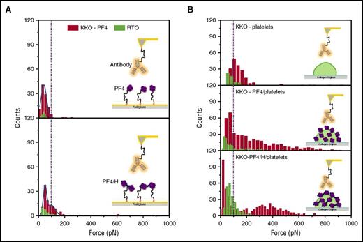 Figure 1. The binding strength of KKO (red) vs RTO (green) to PF4 or PF4/H complexes coated on different surfaces. (A) When PF4 (top) or PF4/H complexes (bottom) were immobilized on a gold surface, the reaction between KKO (red) and PF4 is weaker (rupture force up to 100 pN) than that between KKO and PF4/H complexes (rupture force up to 200 pN), while RTO (green) shows much weaker interactions, as evidenced by the low binding “counts.” (B) When PF4 (middle) or PF4/H complexes (bottom) were coated on platelet surfaces, both KKO (red; rupture force up to 800 pN) and RTO (green; rupture force up to 200 pN) show stronger interaction forces than on the solid phase (A) or on noncoated platelets (top). The broad distribution of binding forces indicates that the binding site of KKO is presented very variably, allowing weak to very strong binding of KKO.