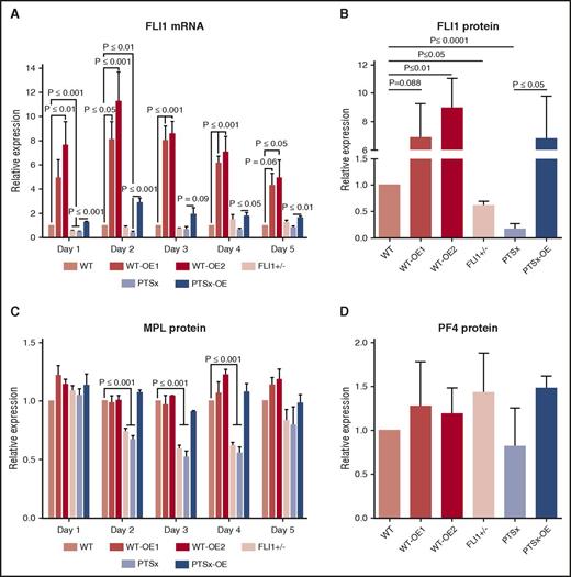 Figure 1. Analysis of FLI1 mRNA and protein levels of FLI1, MPL, and PF4. Day 5 iMegs were selected for CD41a and analyzed using quantitative reverse transcription polymerase chain reaction and western blot. (A) Relative expression of FLI1 mRNA was performed using quantitative reverse transcription polymerase chain reaction compared with WT. Mean ± 1 SEM are shown of 4 separate experiments. P values were calculated using 1-way ANOVA. (B) Western blot analysis of FLI1. Relative expression was compared with WT. Means ± 1 SEM are shown for 4 separate experiments. P values were calculated using 1-way ANOVA. (C) Flow cytometric analysis of MPL. Relative surface MPL expression analyzed from 3 separate experiments using flow cytometry and 1-way ANOVA. (D) Similar to panel B, but measuring PF4.