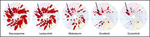 Figure 1. Kinase interaction maps. Shown here are the maps for 5 small-molecule kinase inhibitors ranging from very nonselective (staurosporine) to highly selective (quizartinib). The black arrow on each dendrogram denotes the approximate location for the FLT3 receptor. Lestaurtinib, midostaurin, sorafenib, and quizartinib have all been studied as FLT3 inhibitors. Adapted from Davis et al26 with permission.