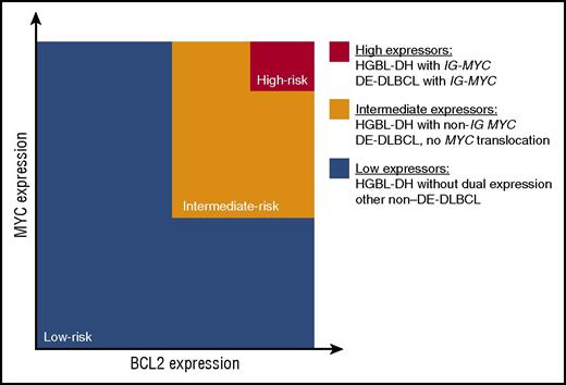 Figure 2. Model assessing clinical risk according to MYC and BCL2 status in DLBCL. The body of literature supports a model whereby the risk of treatment failure is proportional to the degree of MYC and BCL2 protein expression, which in turn is determined by the mechanism of deregulation. Co-expression of MYC and BCL2 (in orange and red) occurs in 25% to 30% of patients. The 5% of patients with the worst clinical outcome (in red) have the highest expression of MYC generated from a translocation to the IG locus. The intermediate-risk patients (in orange) include those with HGBL-DH that express lower levels of MYC protein due to a non-IG MYC translocation and the DE-DLBCL that deregulate MYC and BCL2 from other mechanisms. The low-risk category (in blue) consists of all patients with non-DE-DLBCL, including HGBL-DH that are not dual expressors and DLBCL with a MYC translocation, but without BCL2 protein expression. Note that HGBL-DH has MYC translocations and BCL2 or BCL6 translocations, and DE-DLBCL expresses both MYC and BCL2 proteins.