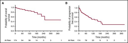 Figure 1. Survival of patients with POAML. (A) OS and (B) PFS.