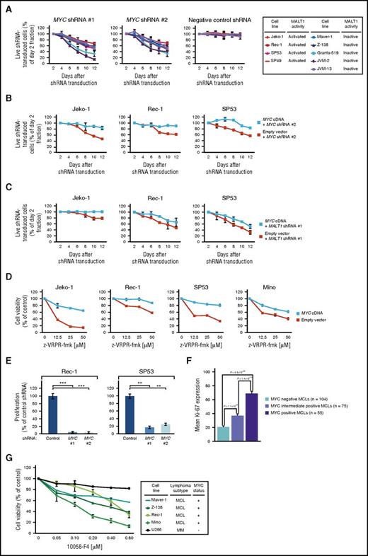 Figure 7. MCLs depend on MYC signaling. (A) shRNA-mediated MYC knockdown induced cytotoxicity in MCL cell lines. A previously described nontoxic shRNA against MSMO1 did not induce toxicity in any cell line. Data are shown as means ± SDs of at least 3 independent experiments. (B) Expression of a MYC cDNA rescued Jeko-1, Rec-1, and SP53 cells transduced with MYC shRNA #2 (targeting the 3′UTR of MYC) from toxicity. Data are shown as means ± SDs of at least 2 independent experiments. (C) Expression of a MYC cDNA partially rescued Jeko-1, Rec-1, and SP53 cells transduced with MALT1 shRNA #1 from toxicity. Data are shown as means ± SDs of at least 2 independent experiments. (D) Expression of an MYC cDNA partially rescued Jeko-1, Rec-1, SP53, and Mino cells treated with z-VRPR-fmk from toxicity. Data are shown as means ± SDs of at least 2 independent experiments. (E) shRNA-mediated knockdown of MYC significantly downregulated cell proliferation. Data are shown as means ± SDs of at least 2 independent experiments. (F) Correlation of Ki-67 and MYC expression determined by immunohistochemistry. Error bars indicate the standard error of the mean. (G) Viability of MCL cell lines following MYC inhibition using the small molecule inhibitor 10058-F4 that inhibits MYC-MAX heterodimerization. Baseline MYC expression was assessed by western blotting (Figure 6A). Representative results from at least 3 independent replicates are shown. Error bars indicate SDs. **P < .01, ***P < .001.