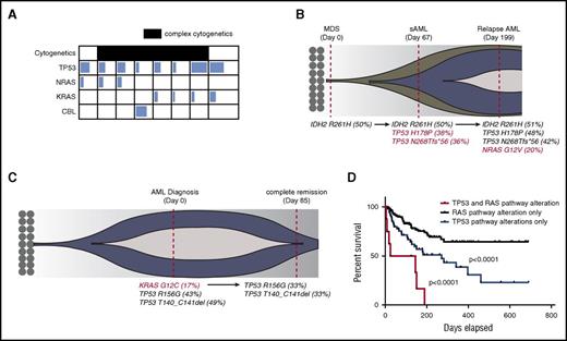 Figure 1. TP53 and RAS pathway mutations co-occur in human AML and predict an inferior outcome. (A) Variant allele frequency (VAF) of RAS pathway mutations and TP53 mutations in co-mutated patients. The degree of shading in each box corresponds to the VAF of that mutation. Patients with complex cytogenetics are shaded in black. Details of complex cytogenetics and VAF information are included in supplemental Table 1. (B) Fish plot of a representative case with sequential sampling that acquired TP53 mutations at the time of AML transformation and then an NRAS mutation during AML relapse. Red-colored mutations highlight acquired genetic events. (C) Fish plot of a representative patient with sequential sampling who lost a KRAS mutation at the time of clinical remission with induction chemotherapy. Red-colored mutation highlights the lost genetic event. (D) Overall survival of TP53 and RAS pathway mutated cohort (n = 8) vs the TP53 mutated cohort (n = 55 patients with survival data) vs the RAS pathway mutated cohort (n = 154 patients with survival data). P values were determined by the log-rank test. sAML, secondary AML.