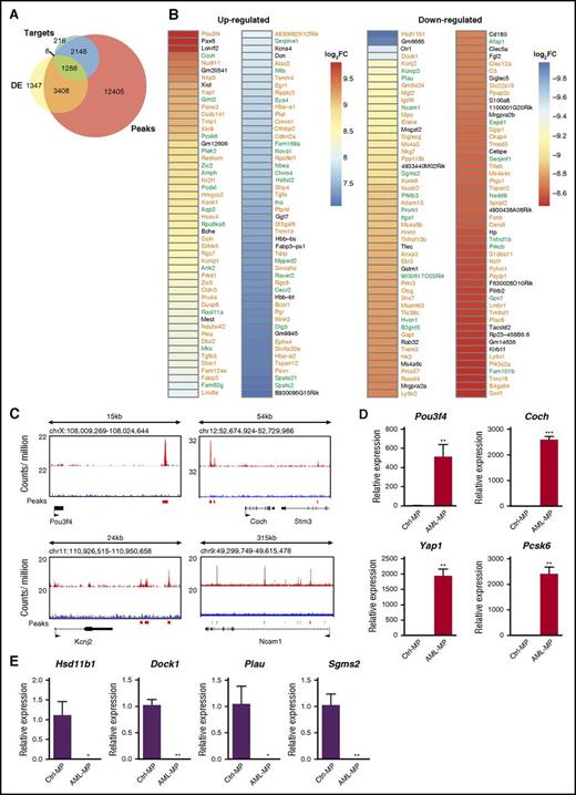 Figure 6. Genes differentially expressed in AML MPs are enriched for potential p53 target genes. (A) Venn diagrams illustrating the overlap among DE genes in AML MPs, p53 target genes involved in DNA damage response (“targets”), and the genes with p53 binding peaks close to their loci (“peaks”). “Targets” and “peaks” have been described previously.45 (B) Heat map displaying statistically significant (FDR <0.001), top 100 up- and downregulated genes in AML MPs (based on fold change). Genes in green are p53 target genes involved in DNA damage response, whereas genes in orange are genes with p53 binding peaks close to their loci but not regulated by p53 in DNA damage response. (C) Genomic views of p53 binding peaks at 4 representative gene loci. (D-E) Validation of differentially expressed genes in AML MPs vs control MPs using quantitative reverse transcriptase polymerase chain reaction (qRT-PCR). Total RNAs were extracted from sorted control and AML MPs using RNEasy Mini Kit (Qiagen). Complementary DNAs (cDNAs) were synthesized using iScript cDNA Synthesis Kit (Bio-Rad). qRT-PCR was performed by using PrimeTime qPCR Assay (ITD; Integrated DNA Technologies) and Maxima Probe qPCR Master Mix (Thermo Scientific) on a CFX96 Real-Time System (Bio-Rad) according to the manufacturer’s instructions. Quantification results of (D) 4 up- and (E) 4 downregulated genes in AML MPs vs control MPs are shown here. Data are presented as mean ± SD. *P < .05; **P < .01; ***P < .001. Log2FC, fold change expressed as 2-based log units.
