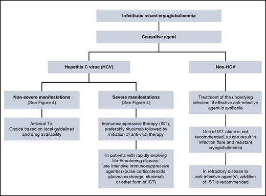 Figure 5. Management algorithm for infectious mixed cryoglobulinemia.