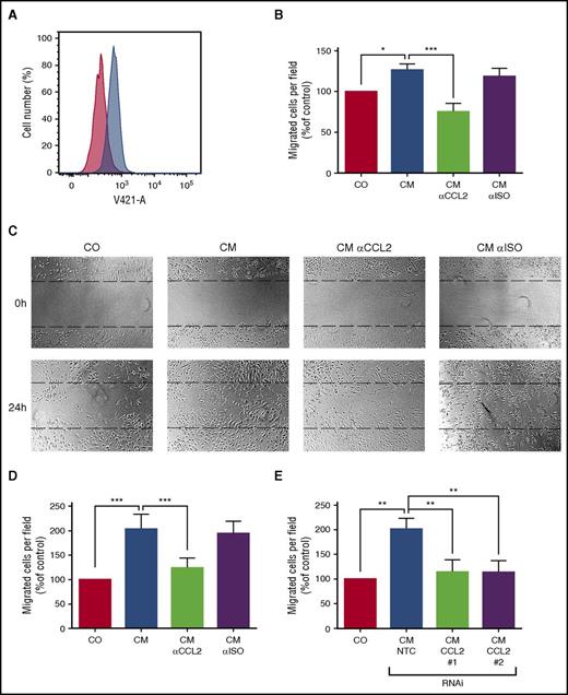 Figure 3. CCL2 promotes chemotaxis and migration of endothelial cells in vitro. (A) HUVECs were stained with an anti-CCR2 antibody (blue histogram) or isotype control (red histogram) and analyzed by FACS. (B) Migration of HUVECs toward conditioned medium of neoplastic MC (CM) was determined using a modified Boyden chamber assay. CM was pre-incubated with an antibody against CCL2 or an isotype control antibody (αISO) to determine the specificity of the observed effect. The number of migrated cells per field was counted and normalized to control level. (C-E) Migration of HUVECs in a scratch assay. The upper panel of (C) shows the scratch before and the lower panel after 24 hours of incubation with CM. CM was pre-incubated with an antibody against CCL2 or an isotype control antibody (αISO) as described above. The number of cells in the scratch was counted and normalized to control level. (D) Respective numbers of mean ± SD of at least 3 independent experiments. (E) In similar experiments, conditioned medium from neoplastic MCs after transduction with 2 different short hairpin RNAs (shRNAs) targeting CCL2 (#1 and #2) or an NTC was used. Results represent the mean ± SD of at least 3 independent experiments. *P < .05, **P < .01, ***P < .001.