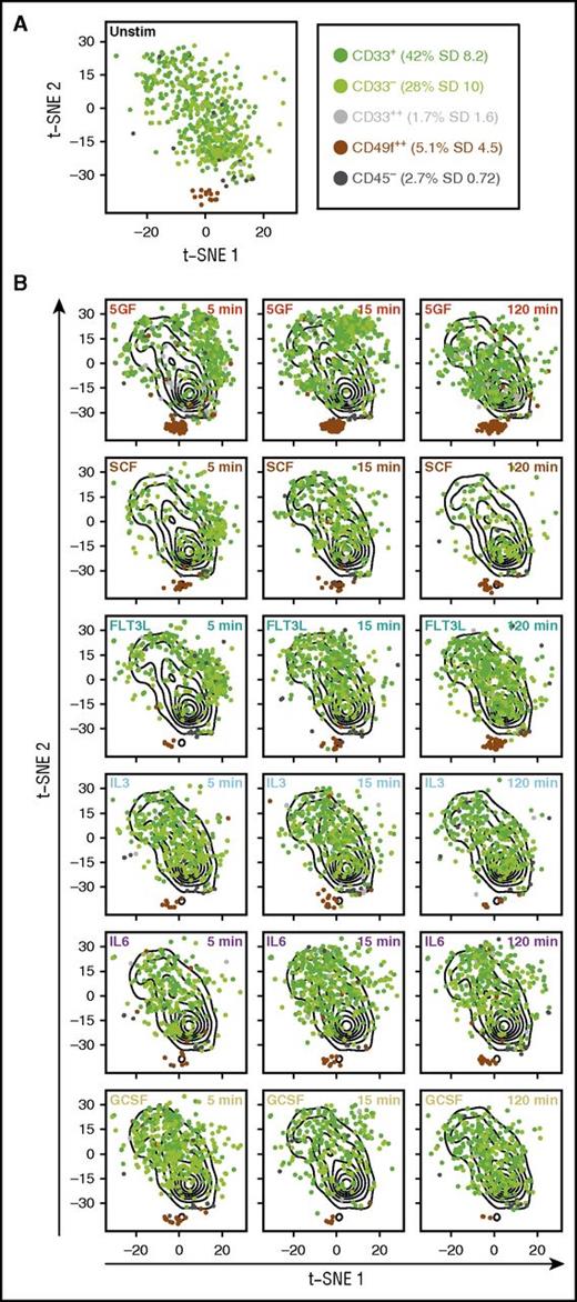 Figure 2. Subsets within the CD49f+ compartment exhibit different molecular responses to GFs. Dimensionality reduction using t-SNE was performed on the data obtained for all intracellular markers from all CD49f+ cells after scaling the data from each CyTOF run. Subsets of the CD49f+ compartment are shown as different colors and their frequencies are listed in the figure. Cells that fell in between gates are not shown. (A) The distribution of unstimulated (unstim) cells from all subsets in t-SNE space. (B) The overall distributions of all unstimulated cells are shown as contours on all plots. Results for each subset of CD49f+ cells following the indicated GF exposure are shown in t-SNE space.