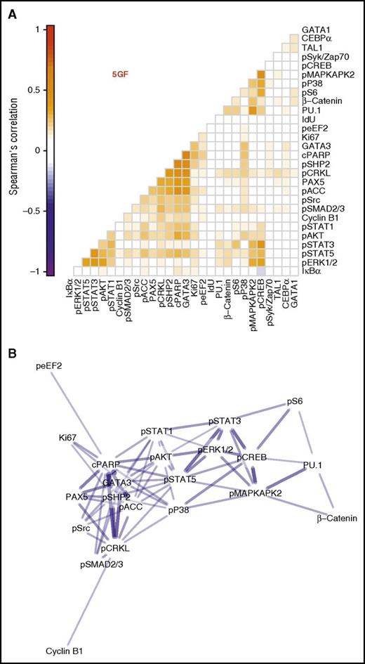 Figure 4. Three distinct clusters of intracellular marker activation seen in the CD33+ subset of CD49f+ cells. Spearman correlations were calculated between each intracellular marker pair for all cells in the CD33+ subset of the CD49f+ cells following their stimulation with or without 5 GFs. (A) Pairwise correlations are shown between each marker with the color intensity indicating degree of correlation. Markers are ordered based on hierarchical clustering. (B) A network model with edges based on the correlation. Edges were included only when Holm-corrected P values were ≤.01 and the absolute value of Spearman ρ was ≥0.2. Node layout was calculated using the Fruchterman-Reingold algorithm with edge weights of 102abs(ρ).