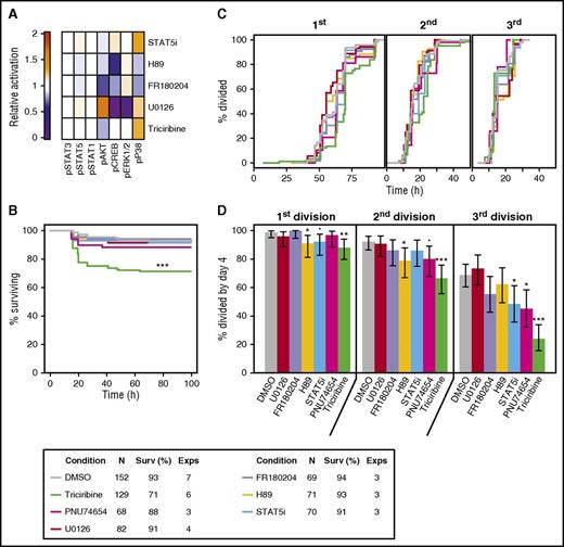 Figure 6. Inhibition of AKT, β-catenin, and STAT5 signaling blocks 5 GF effects on CD49f+ CB cell survival and proliferation. (A) Mean signaling differences from DMSO control in OCI-AML5 following stimulation with 5 GFs, determined after 5 minutes in the presence of triciribine or U0126, and after 15 minutes in the presence of the other inhibitors. (B) Kaplan-Meier survival curves for single CD49f+ cells cultured in either 5 GFs ± 1 µM U0126 (a MEK inhibitor), 3.1 µM FR180204 (an ERK1/2 inhibitor), 1.5 µM H89 (a PKA inhibitor), 15 µM STAT5 inhibitor (STAT5i), 50 µM PNU74654 (a β-catenin inhibitor), or 400 nM triciribine (an AKT inhibitor). (C) Percent of viable single cells observed to undergo 1, 2, and 3 cell divisions in the presence of 5 GFs ± the indicated inhibitors. (D) Cumulative distribution functions of the timing of the first, second, and third cell divisions of single CD49f+ cells cultured in 5 GFs ± the indicated inhibitors, where the second and third divisions were calculated for each clone individually. Median division times are indicated by the dotted lines. Statistical significance was tested compared with 5 GFs + DMSO. An FDR correction for multiple testing was applied. •P = .1; *P = .05; **P = .01; ***P ≤ .001. The legend in the top right indicates the color corresponding to each condition tested.