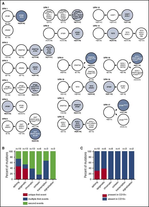 Figure 1. Clonal architecture of non-del(5q) MDS CD34+ CD38− HSPCs. (A) Tracking of mutations initially detected in the bone marrow of 17 MDS patients in CD34+CD38− single cell–derived colonies by the Sanger method. For each patient sample, the proportions of mutated subclone to the total number of sequenced colonies are indicated as percentages and 95% CI. Each subclone is represented as a circle. Filled circles with bold type represent the dominant or codominant subclones statistically identified using the Fisher exact test. Dominant subclones in linear architecture and in complex architecture are indicated in light and dark blue, respectively. (B) Distribution of the different mutation categories according to their respective occurrence in CD34+CD38−–derived clones. Shown are the percent of unique first events, multiple first events, and second events. (C) Mutations of different gene categories detected or not in the CD19+ cells sorted from the CD34− fraction.