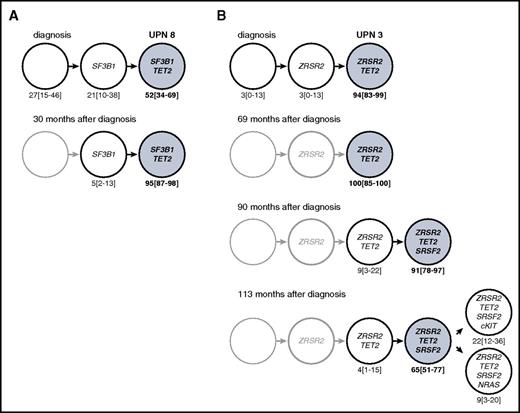 Figure 2. Evolution of clonal architecture during the natural course of the disease. Clonal architecture on the basis of single CD34+CD38− cells by the Sanger method. The proportions of each subclone are indicated as percentages and 95% CIs. Light blue circles and bold type represent the dominant subclone statistically identified using the Fisher exact test. (A) UPN 8 at diagnosis and after 30 months. (B) UPN 3 at diagnosis and after 69, 90, and 113 months.