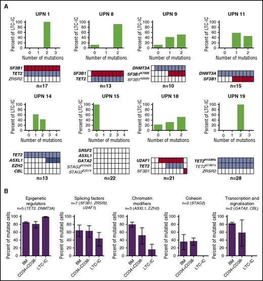 Figure 3. Frequency of mutations in LTC-IC–derived colony-forming cells. (A) Tracking of mutations in individual CFCs derived from LTC-ICs. (Upper) Proportion of LTC-ICs according to mutation burden. (Lower) Representation of the genotypes of LTC-IC–derived CFCs to 10 colonies. Each column represents 1 CFC. Colored boxes represent mutated CFCs; open boxes represent nonmutated CFCs. Each line represents 1 mutation. Number of colonies analyzed per sample is indicated. Bold type indicates major mutations. (B) Proportion of mutated cells in the BM MNC, the CD34+CD38− HSPC, and LTC-IC–derived CFCs according to variant category. Percentages of mutated cells in bulk BM MNC (BM) represent twice the VAF of heterozygous mutations on autosomes or onefold the VAF of homozygous autosomal mutations or homozygous mutations of X chromosome genes in male subjects. Percentages of mutated cells in the CD34+CD38− compartment and LTC-IC–derived CFCs represent the proportion of mutated colonies among all analyzed colonies. The numbers and type of mutations are indicated for each category. Results are expressed as means ± standard error of the mean (SEM) and compared with Student t test.