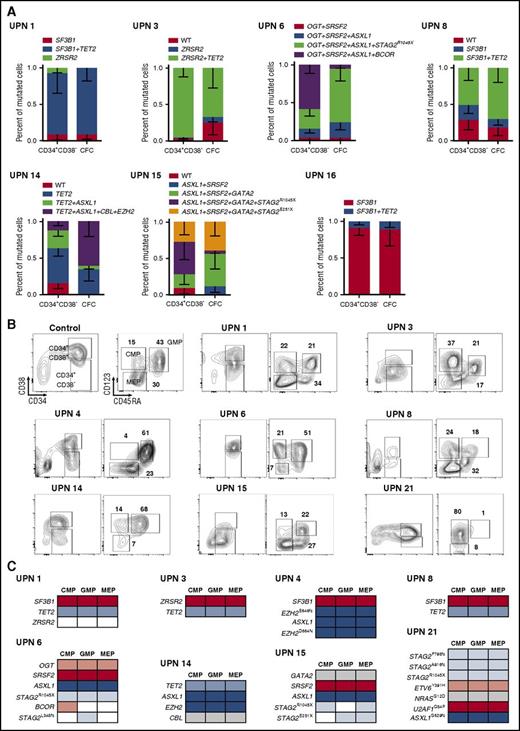 Figure 5. Genotyping of MDS progenitors. (A) Genotyping of CD34+CD38− HSPC-derived CFCs. One hundred sorted bone marrow CD34+CD38− cells were seeded in methylcellulose for CFCs of 7 MDS patients. Mutations identified in bulk BM MNCs were tracked in individual colonies. Clones are defined as colonies with the identical patterns of mutations. Proportions of clones derived from individual CD34+CD38− cells and in CFCs derived from CD34+CD38− cells are compared and represented by bars showing 95% CIs. (B) Immunophenotypic quantification of CMP, GMP, and MEP in the CD34+CD38+ cell compartment for 8 MDS patients and 1 cytapheresis used as control (see supplemental Methods). Density plots are shown and percentages of each studied cell population are indicated. (C) Genotyping of sorted CMPs, GMPs, and MEPs from 8 MDS patients by Sanger sequencing (200 cells per sample) or by NGS (UPN 21). Colored boxes correspond to detected mutation and open boxes for undetected mutation.