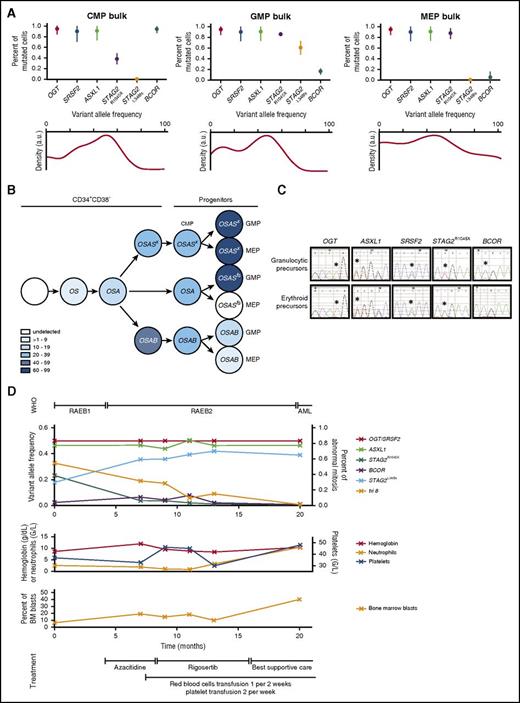 Figure 6. Clonal evolution with hematopoietic differentiation. (A) Targeted resequencing of sorted CMPs, GMPs, and MEPs by NGS for UPN 6 (200 cells per fraction). (Upper) Proportion of mutated cells represents twice the VAF, determined by NGS, of heterozygous mutations in autosomes and onefold the VAF of mutations of a gene located on the X chromosome in this male subject. Bars represent 95% CIs. (Lower) Kernel density plot of VAFs determined by NGS representation facilitating inference of the presence and genetic composition of subclones (SiClone). (B) Schematic representation of the clonal architecture of CD34+CD38− hematopoietic stem cell and progenitor compartments at diagnosis. Each mutation is represented by its initial. A color spectrum is used for the different intervals of variant allele frequencies. (C) Mutation pattern of granulocytic and erythroid precursors. Patient (UPN 6)-sorted CD34+ cells were expanded in vitro and transitioned to granulocytic or erythroid differentiation. Mutations were tracked by Sanger sequencing in granulocytic and erythroid differentiated cells (*point mutations). (D) Clonal evolution of UPN 6 over 20 months. World Health Organization (WHO) classification, blood and bone marrow parameters, treatments, mutations, and cytogenetic abnormality are indicated.
