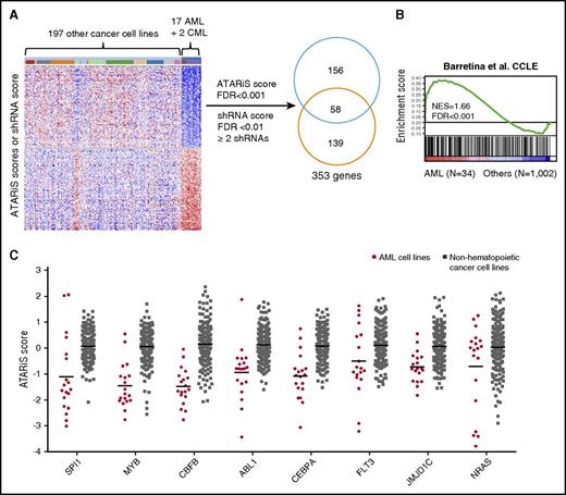 Figure 1. shRNA screens for genes uniquely required by AML cell lines for survival. (A) Schematic representation of data analysis workflow. One hundred ninety-seven genes with ≥2 significant shRNAs were selected, and 214 genes with significant ATARiS scores were selected. The 2 lists have 58 overlapping genes and 353 genes in total. (B) The 353 screen hits are enriched of genes highly expressed in CCLE AML cell lines based on GSEA.30 (C) Examples of screen hits that are frequently altered in AML or required by AML cells for survival compared with non-AML cancer cell lines. Lines indicate mean. FDR, false discovery rate; NES, normalized enrichment score.