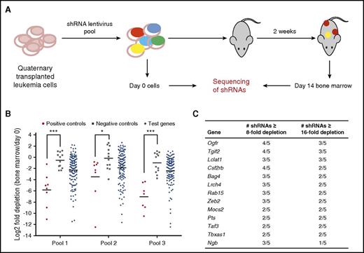 Figure 2. Secondary shRNA screen for genes required by MLL-AF9 AML in vivo. (A) Schematic of secondary screen. MLL-AF9 transduced mouse granulocyte monocyte progenitors were serially transplanted into recipient mice. Quaternary transplanted leukemia cells (c-KithiCD34+FCRγRIIhi) were sorted and infected with 3 pools of shRNAs in 5 replicates and transplanted into sublethally irradiated mice. Pretransplant cells (day 0 sample) and day 14 bone marrow samples were sequenced to determine shRNA representation. (B) Positive control shRNAs are significantly more depleted than negative control shRNAs. Shown is the median log2 fold depletion of 5 replicates. Lines indicate mean. ***P < .001, *P < .05, t test. (C) List of 13 screen hits.