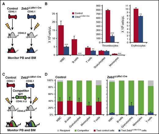 Figure 3. Zeb2 is dispensable for self-renewal. (A) Schematic of the transplant and analysis setting. (B) Analysis of peripheral blood (PB) cells at 16 weeks posttransplant show significantly fewer WBCs and their subsets, thrombocytes and erythrocytes, in Zeb2Δ/ΔMx1-Cre BM recipients compared with their WT counterpart. (C) Schema of a competitive BM transplant. (D) The relative contribution of donor, competitor, and remaining recipient-derived blood cells in reconstituted recipients at 16 weeks after transplant reveals a significantly reduced contribution of Zeb2Δ/ΔMx1-Cre–derived cells in most lineages.