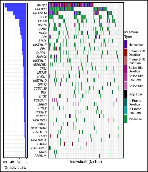 Figure 2. SMGs in FL. The frequency and type of mutations affecting 39 genes identified as significantly mutated in our cohort using MuSiC analysis (FDR < 0.05, convolution test method) are displayed in each row. Columns represent each patient in the cohort and are ordered by the presence of mutations in the most to least frequently mutated gene. The bar graph on the left corresponds to the frequency of mutations for that gene in the entire cohort. For genes with multiple mutations in a single patient, only 1 mutation type is shown with priority order indicated in the legend from the highest priority at the top to lowest at the bottom. For individuals with multiple samples, the union of mutations in all samples for that individual was used. The mutation waterfall plot was created using the “GenVisR” package in R.41
