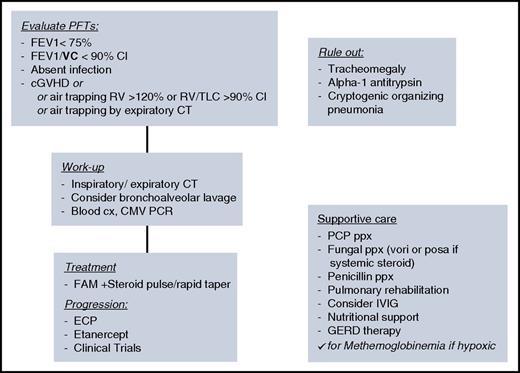 Figure 2. Algorithm for diagnosis, work-up, and treatment of BOS. Summary algorithm for diagnosis, work-up, supportive care considerations, and treatment of BOS. CI, confidence interval; cx, culture; IVIG, intravenous immunoglobulin G; PCP, pneumocystis jirovecci pneumonia; ppx, prophylaxis.