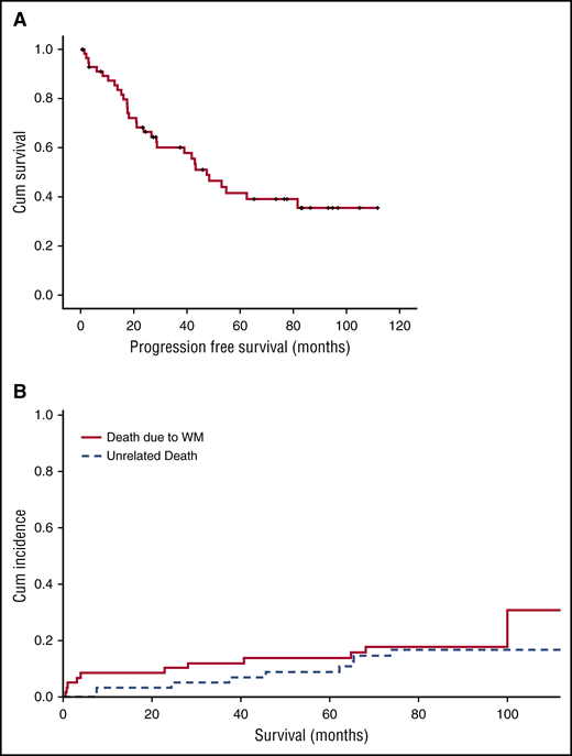 Time-to-event curves after therapy with BDR. (A) PFS and (B) cumulative (Cum) incidence of related and unrelated deaths (1 for related and 2 for unrelated deaths).