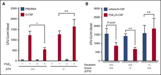 Figure 5. Regulation of mobilization by PGE2/EP4 signal. (A) CFU-Cs mobilized in EP4+/+ and EP4−/− mice treated with PGE2 (n = 3 for PBS/BSA group and n = 6-10 for G-CSF group). (B) CFU-Cs mobilized in EP4 chimeric mice treated with PGE2 (n = 6-12). Data are represented as mean ± SEM. *P < .05; ***P < .001. n.s., not significant.