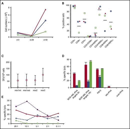 Figure 1. Characteristics of the p190BCR-ABL–specific T cells used in the 3 patients. (A) T-cell expansion of p190BCR-ABL–specific T-cell lines achieved over a 40-day period based on cell counting using trypan blue exclusion (green square, patient 1; blue circle, patient 2; red triangle, patient 3). (B) Phenotype of p190BCR-ABL–specific T-cell lines, reported as the percentage of positive cells (green square, patient 1; blue circle, patient 2; red triangle, patient 3). (C) Response, measured as IFNγ production in a enzyme-linked immunospot (ELISPOT) assay, to the different peptide pools used in the activation/expansion process. Mix1int indicates 9- and 10-mer peptides spanning the internal p190 breakpoint region; Mix1est, 9- and 10-mer peptides spanning the external p190 breakpoint region; Mix3, 9-mer peptides derived from the alternative BCR-ABL splice variants. (D) Cytotoxic activity of T-cell lines, measured as the percentage of specific lysis at a effector-to-target (E:T) ratio of 5:1, against autologous phytohemagglutinin (PHA) blasts pulsed with p190BCR-ABL peptides (BCR-ABL-PHA targets, cytotoxicity measured at 5 hours and 12 hours, calculated after subtraction of background, consisting of cytotoxicity against autologous PHA blasts pulsed with irrelevant peptides), P815 cell line, nonpulsed PHA blasts from patients 1 and 2 (allo-PHA), nonpulsed autologous PHA blasts (auto-PHA) (red column, patient 1; blue column, patient 2; green column, patient 3). (E) Cytotoxicity profile of p190BCR-ABL–specific CTLs obtained from patient 2. The figure reports the percentage of specific lysis against patient ALL blasts (solid line and triangle), autologous PHA blasts pulsed with p190BCR-ABL peptides (dashed line and solid circle), P815 cell line (dotted line and solid squares), nonpulsed PHA blasts of the patient (dashed-dotted line and empty circles). The mean percentage of lysis of duplicate wells for 5 different E:T ratios is shown. SFU, spot-forming unit.