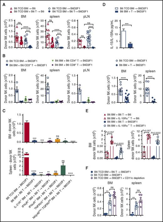 Figure 4. Donor T cells competing for IL-15 signaling impairs NK-cell reconstitution. (A) B6 and B6D2F1 recipients were transplanted with B6.CD45.1+ BM and CD3+ T cells or TCD BM and donor NK cells were quantified at day 14. BM and spleen data show mean ± SEM pooled from 2 to 4 independent experiments; n = 9-18 per group. pLN data show mean ± SEM pooled from 1 to 5 independent experiments; n = 4-23 per group. (B) B6D2F1 recipients were transplanted with 5 × 106 B6.BM and 1 × 106 B6.CD3+ T cells or 0.5 × 106 sorted B6.CD4+ or 0.5 × 106 sorted B6.CD8+ T cells or B6.TCD BM. Donor NK cells were quantified at day 14. Mean ± SD from 1 experiment; n = 4 per group. (C) B6D2F1 recipients received B6.TCD BM, B6.BM or IL-21R−/−, IFNγR−/−, IFNαR−/−, TNFRI/II−/−, or NKp46cre+.TGFRIIfl/fl BM together with B6.CD3+ T cells and BM and spleen NK cells were quantified at day 14. Mean ± SEM pooled from 2 to 5 experiments for B6 TCD, B6 BM + T-cell and IFNγR−/− TCD BM groups; n = 8-20. Mean ± SD from a single experiment for remaining groups; n = 2-5 per group. (D) Quantitation of serum IL-15/IL-15R complex levels by enzyme-linked immunosorbent assay (ELISA) at day 14 posttransplant. Enumeration of respective donor NK-cell numbers in BM and spleen is shown. Mean ± SEM, pooled from 3 to 5 experiments; n = 10-18 per group. (E) Recipients were transplanted with B6 BM and either B6.CD3+ T cells or IL-15Rα−/−.CD3+ T cells. BM and T cells for these experiments originated in the United States, hence the reduced overall cell numbers. Donor NK cells were enumerated in the BM and spleen at day 18 posttransplant. Mean ± SD from 1 experiment; n = 3-6 per group. (F) B6D2F1 recipients were transplanted with donor grafts containing either B6 TCD BM with B6.CD3+ T cells, B6 TCD BM alone, or B6.CD11c-DOG TCD BM alone. CD11c+ cells were depleted with diphtheria toxin (DT) administered from day 5 post-SCT (160 ng per dose per mouse) and then every 2 days thereafter. NK cells were enumerated in BM and spleen on day 14. Mean ± SEM from 1 experiment is shown; n = 6 per group. Kruskall-Wallis test with the Dunn multiple comparisons correction was performed in panels A through C. Comparisons were made with the TCD BM group in panel C. The Mann-Whitney test was performed in panels D, E, and F.