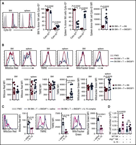 Figure 6. Autophagy and mitophagy are enhanced during GVHD. (A) B6 and B6D2F1 mice were transplanted with B6.CD45.1 BM and CD3+ T cells. The frequency of Cyto-ID+ NK cells in the BM and spleen and the Cyto-ID MFI in the spleen of donor NK cells was quantified. Representative histograms at day 14 posttransplant are shown. Mean ± SEM pooled from 2 independent experiments; n = 8 per group. (B) Levels of MitoSox Red, MitoTracker Green, and TMRE were examined in the donor NK cells from the mice in panel A. MFI values for the 3 mitophagy stains were quantified. Representative histograms at day 14 posttransplant are shown. Mean ± SEM pooled from 2 independent experiments; n = 10 per group. (C) B6.BM and B6.CD3+ T cells was transplanted into lethally irradiated B6D2F1 recipients and treated on day 7 and day 10 with saline or IL-15 complex. Quantitation of MitoSox Red, TMRE, and MitoTracker Green levels in donor NK cells from the BM at day 14. Dotted line indicates level in a nontransplanted B6 mouse. Mean ± SD from 1 experiment; n = 3 per group. (D) Enumeration of donor NK cells in the BM at day 14 posttransplant after BM from B6.NKp46cre+.Atg7WT/WT or B6.NKp46cre+.Atg7fl/fl was transplanted together with B6.CD3+ T cells into lethally irradiated B6D2F1 recipients and treated as in panel C. Mean ± SEM pooled from 2 independent experiments; n = 6-8 per group. Mann-Whitney tests were performed in panels A and B. The unpaired t test with Welch correction was performed in panels C and D. FMO, fluorescence minus one.