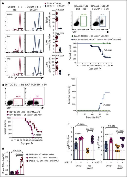 Figure 7. Failure to reconstitute NK-cell during GVHD impairs GVL and CMV responses. (A) B6.BM and CD3+ T cells were transplanted into lethally irradiated B6 or B6D2F1 recipients. At day 14 posttransplant, 20 × 106 NK-resistant RMA cells and 20 × 106 NK-sensitive RMA-S cells labeled with high and low concentrations of violet proliferation dye, respectively, were injected IV. Sixteen hours later, the ratio of RMA:RMA-S was quantified to determine the cytotoxic capacity of NK cells in the spleen, liver, and lung. Representative histograms are shown. Mean ± SEM pooled from 2 independent experiments; n = 10 per group. (B) Lethally irradiated B6 mice received either B6.TCD BM or TCD B6.NKp46cre+.Mcl1fl/fl BM together with 104 GFP+ β2m−/− MLL-AF9 AML cells and monitored for survival. Representative dot plots of peripheral blood day 42 post-MLL-AF9 injection are shown. Kaplan-Meier overall survival plot from 2 independent experiments is shown; n = 10 per group. (C) Lethally irradiated B6 mice were treated with saline or anti-NK1.1 and transplanted with TCD BALB/c.BM ± T cells. Donor NKp46+CD122+ NK cells were enumerated at day 7; n = 9-15 in T-cell replete and n = 6 in TCD groups from 2 combined experiments. (D-E) Lethally irradiated B6 mice received either TCD BALB/c.BM with or without sorted BALB/c CD8+ T cells. At day 14 posttransplant, 2 × 105 GFP+ β2m−/− MLL-AF9 AML cells were transferred and survival was monitored. Representative dot plots of peripheral blood from day 49 post-MLL-AF9 injection are shown. (D) Kaplan-Meier overall survival plot and (E) leukemia mortality by competing risk analysis from 3 independent experiments is shown; n = 18 per group. (F) Lethally irradiated BALB/c recipients were transplanted with either B6.BM and CD4+ T cells (GVHD group) or B6.TCD BM alone (non-GVHD group), allowed to engraft for 21 days, then infected with MCMV. Two additional GVHD and non-GVHD groups received anti-NK1.1 antibody prior to and during MCMV infection (day −2, 0, and +2). Viral loads, measured as plaque-forming units (PFU), in the spleen and liver were determined 4 days later. Mean ± SEM pooled from 2 independent experiments; n = 6-11 per group. Mann-Whitney tests performed in panels A, C, and F. The log-rank (Mantel-Cox) test was performed for the survival data in panels B and D. Incidence of leukemia mortality in panel E was performed by competing risk analysis using R software.
