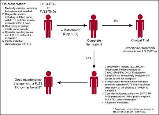 Figure 2. Proposed flowchart for the treatment of patients with FLT-3-mutated AML. The final point, maintenance therapy in the post-transplant setting, remains an open question, one it is hoped will be addressed by randomized trials.