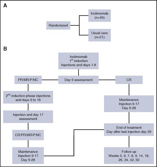 Figure 1. Study design. (A) All patients in the control arm received rabbit ATG (Genzyme, a Sanofi company) at the same dose of 2.5 mg/kg for 4 consecutive days. Inolimomab was delivered IV at a dose of 0.3 mg/kg per day for the induction phase and 0.2 mg/kg per day for maintenance. (B) Study design for the inolimomab arm.