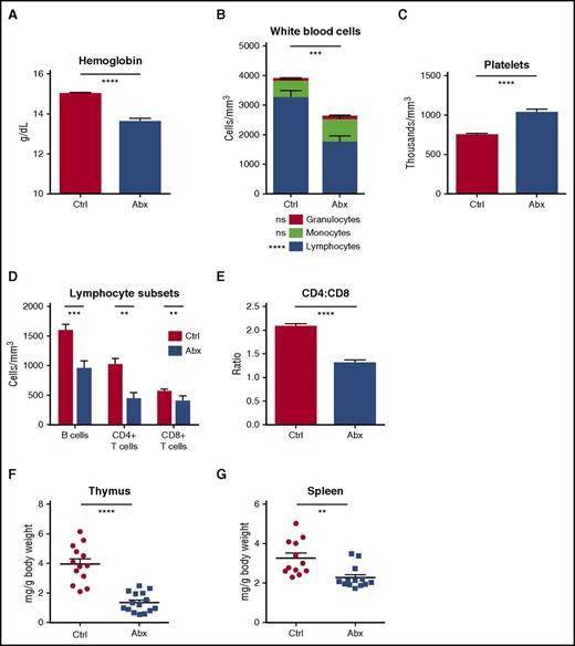 Figure 1. Peripheral blood counts are suppressed and lymphoid organs diminished with antibiotic therapy. (A) Hemoglobin, (B) white blood cell count and differential, and (C) platelet counts were determined for control (Ctrl) vs antibiotic-treated (Abx) mice using an automated hematologic cell counter. (D) Lymphocyte subsets and (E) CD4:CD8 ratio in peripheral blood for control vs antibiotic-treated mice were determined by flow cytometry. (F) Thymi and (G) spleens from control vs antibiotic-treated mice were weighed. Results are compiled from 3 independent experiments (n = 9-14 per group). Graphs show mean + standard error of the mean (SEM). Statistical significance was determined by Student t test. ns, not significant; *P < .05, **P < .01, ***P < .001, ****P < .0001.