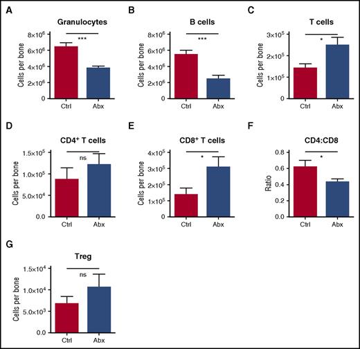 Figure 3. Granulocytes and B cells decrease in bone marrow upon antibiotic therapy, whereas T cells increase. Mature blood cells in bone marrow of control (Ctrl) vs antibiotic-treated (Abx) mice were quantified by flow cytometry, including (A) granulocytes, (B) B cells, (C) T cells, (D) CD4+ T cells, and (E) CD8+ T cells. (F) The CD4:CD8 ratio was calculated based on percentages of each population. (G) Regulatory T cells (Treg) were quantified by flow cytometry. Results are compiled from 2 to 4 independent experiments (n = 9-17 per group). Graphs show mean + SEM, with statistical significance determined by Student t test. *P < .05, ***P < .001.