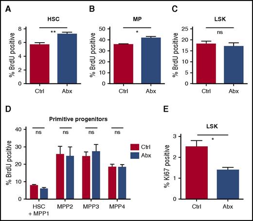Figure 4. Antibiotics suppress cell cycle activity in primitive progenitor populations. (A-B) BrdU incorporation was determined for controls (Ctrl) vs antibiotic-treated (Abx) mice in (A) stem cells, (B) MPs, (C) LSK, and (D) primitive progenitor subsets in bone marrow. Results are compiled from 2 independent experiments (n = 9 per group per analysis). (E) Ki67 staining was determined by flow cytometry in the total LSK population. Results are compiled from 3 independent experiments, each performed on pooled marrow from 4 to 5 mice per group. Graphs show mean + SEM. Statistical significance was determined by Student t test. *P < .05, **P < .01.