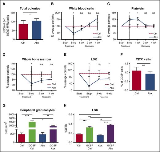 Figure 5. Antibiotic suppression of bone marrow progenitors is indirect and reversible. (A) Total colony formation was measured for WBM cells incubated for 9 days in methylcellulose in the presence (Abx) or absence (Ctrl) of test antibiotics (VNAM). Results compiled from 2 independent experiments. Graph shows mean + SEM. (B-E) Recovery of cell populations after withdrawal of antibiotics. Peripheral blood cell count recovery was assessed on an automated hematologic cell counter for antibiotic-treated (Abx) mice compared with controls (Ctrl), exemplified by (B) white blood cells and (C) platelets. Bone marrow recovery was assessed by performing (D) whole bone marrow counts and flow cytometry quantification of bone marrow populations, exemplified by (E) total LSK population, in antibiotic-treated mice compared with controls. Graphs show mean ± SEM trend over time (n = 3-4 per group per time point with each time point normalized to the mean of controls for that time point). Single experiment. (F) Sorted LSK cells from controls (Ctrl) and antibiotic-treated (Abx) mice were cocultured with OP9-DL1 cells and cytokines to support T-cell development. Flow cytometry was performed after 14 days in culture to quantify CD3+ cells representing lymphoid potential of the sorted LSK cells. The graph shows mean + SEM. (G-H) Controls (Ctrl) and antibiotic-treated (Abx) mice were treated with granulocyte-colony stimulating factor (G-CSF) to assess progenitor response to exogenous stimuli of myeloid differentiation. (G) Peripheral blood granulocyte and (H) total BM LSK response to GCSF. Results are compiled from 2 independent experiments (n = 4-8 per group per analysis). The graphs show mean + SEM. For all panels, statistical significance was determined by Student t test. *P < .05, **P < .01, ***P < .001, ****P < .0001.