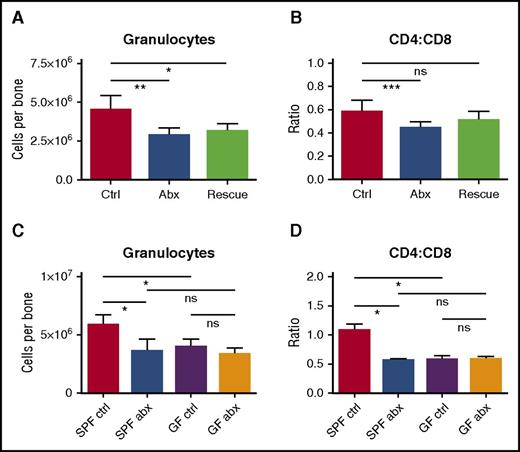 Figure 6. Depletion of fecal microbiota is a key factor in the development of antibiotic-associated bone marrow suppression. (A) Granulocytes and (B) CD4:CD8 ratio were quantified by flow cytometry for controls (Ctrl), antibiotic-treated mice (Abx), and mice treated with antibiotics plus fecal microbiota transfer (Rescue). Results are compiled from 2 independent experiments (n = 5-17 per group). (C) Granulocytes and (D) CD4:CD8 ratio were quantified by flow cytometry for controls and antibiotic-treated SPF and germ-free (GF) mice. Results are representative of a single experiment (n = 3-5 per group per experiment). The graphs show mean + SEM, statistical significance was determined by Student t test. *P < .05, **P < .01, ***P < .001.
