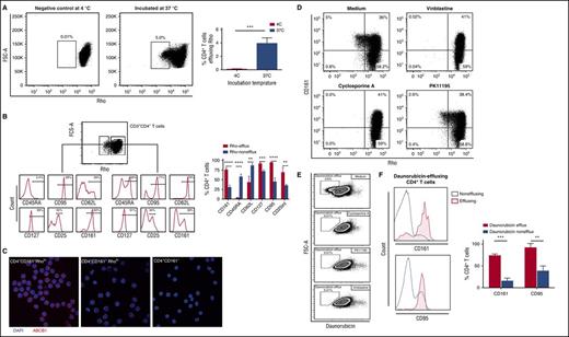 Figure 1. A subset of CD4+ T cells efflux Rhodamine123 and daunorubicin. PBMCs were incubated with Rho for 30 to 60 minutes at 37°C, after which multicolor FACS analysis was performed on gated CD4+Rholo (effluxing subset) and CD4+Rhohi cells (non-effluxing subset). (A) Representative FACS plot showing Rho efflux by CD4+ T cells after incubation at 37°C for 30-60 min (right) compared with negative control (left); cumulative data from 5 independent experiments are shown; ***P < .001. (B) Histograms comparing the phenotypes of effluxing (left) and non-effluxing (right) subsets within the total CD4+ T cell compartments. Note enrichment of Rho effluxing CD4+ T cell subsets within the CD161+ population; cumulative data from 4 independent experiments are shown; **P < .01, ***P < .001 and ****P < .0001. (C) Sort-purified CD4+CD161+Rholo, CD4+CD161+Rhohi and CD4+CD161- T cell subsets were stained for ABCB1 and examined by laser scanning confocal microscopy. Representative images from CD4+CD161+Rholo (left), CD4+CD161+Rhohi (middle) and CD4+CD161- (Right) T cell subsets are shown. ABCB1 (red) is only expressed on CD4+CD161+Rholo. DAPI (blue) was used as counterstaining. (D) FACS plots showing the abrogation of Rho efflux by CD4+CD161+ T cells after coincubation with inhibitors of ABCB1 and ABCC1 (cyclosporine A, PK11195 and vinblastine). (E) PBMCs were coincubated with fluorescent anthracycline (daunorubicin) for 30 to 60 min at 37°C. FACS plots show daunorubicin efflux by CD4+ T cells and complete abrogation of efflux upon addition of ABCB1 inhibitors (cyclosporin A and PK11195) and ABCC1 (vinblastine). (F) Histograms show that the gated daunorubicin-effluxing CD4+ T cells (red histogram) are enriched within the CD95+ CD161+ memory T-cell compartment compared with their non-effluxing counterpart (blue histogram); cumulative data from 3 independent experiments are shown; **P < .01 and ***P < .001.